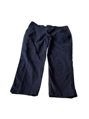 GAP Girlfriend Khakis Navy Chinos Women’s 12 Straight Leg Pants